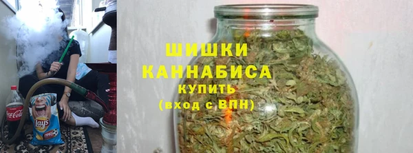 индика Михайловск