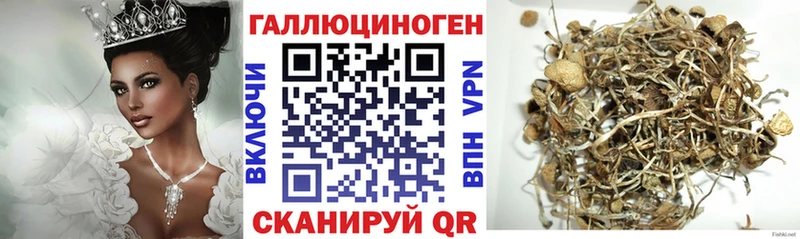 Галлюциногенные грибы Cubensis  закладки  Черепаново 